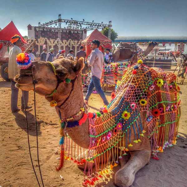 Golden Triangle Packages with Pushkar